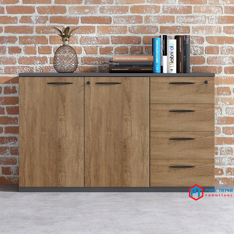 Tủ hồ sơ văn phòng TTLPT 16