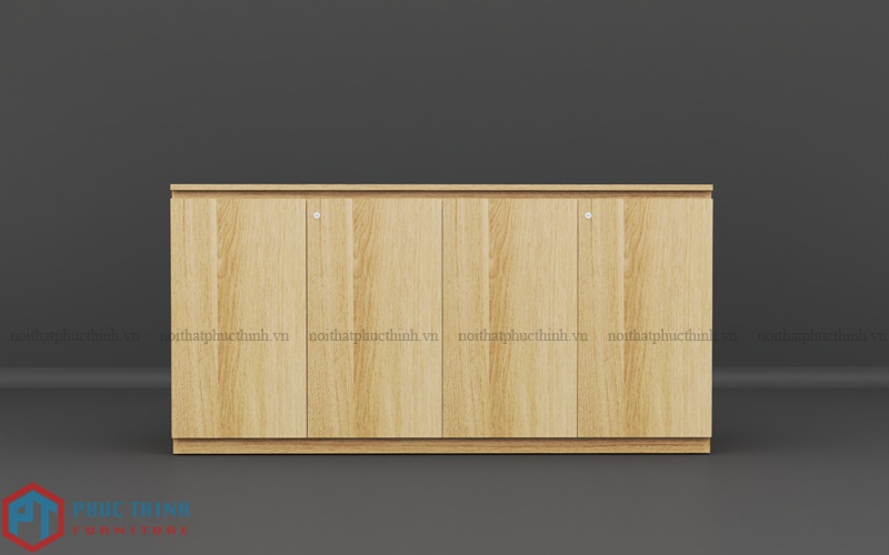 Tủ tài liệu thấp TTPT 03