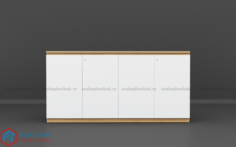 Tủ tài liệu thấp TTPT 03